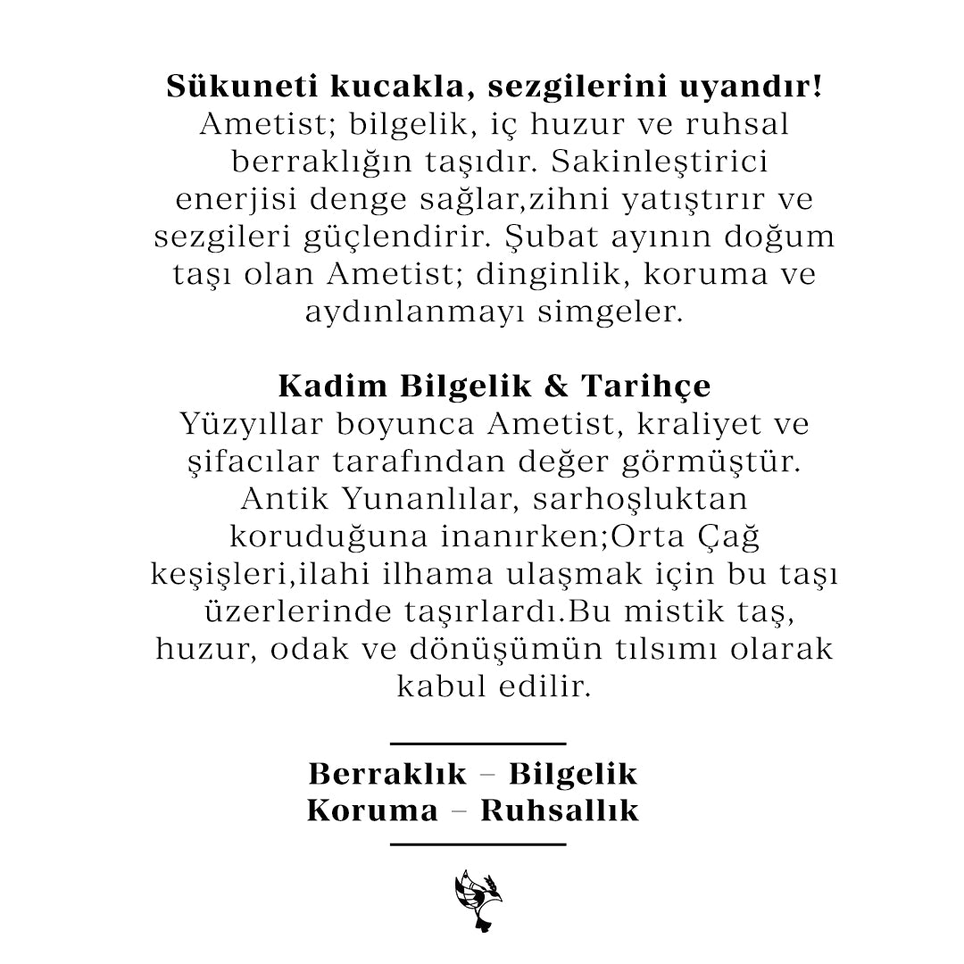 Bodhita - AMETIST KOLYE UCU