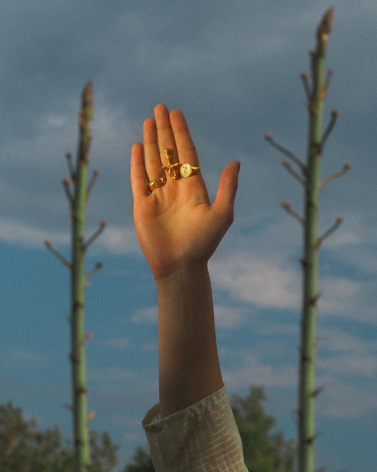 Bodhita - MANO RING